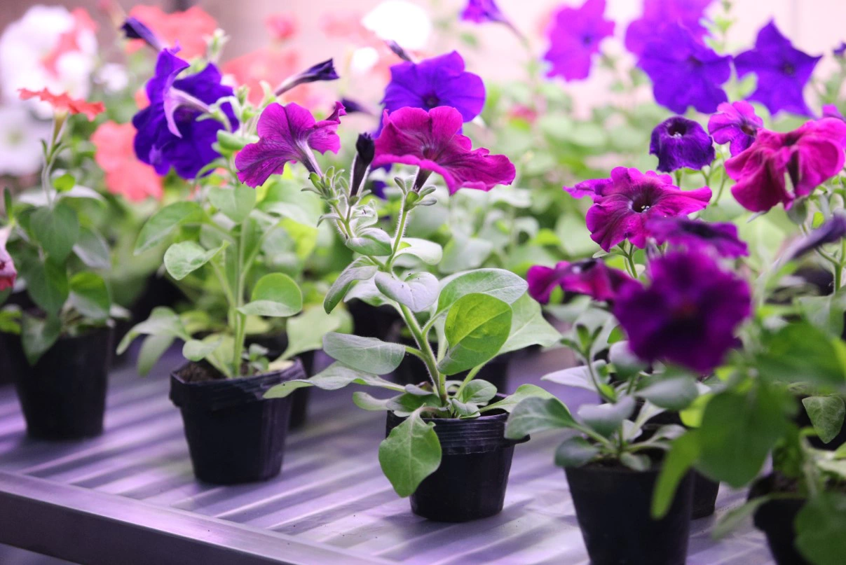 Екатерина Сычкова / URA.RU