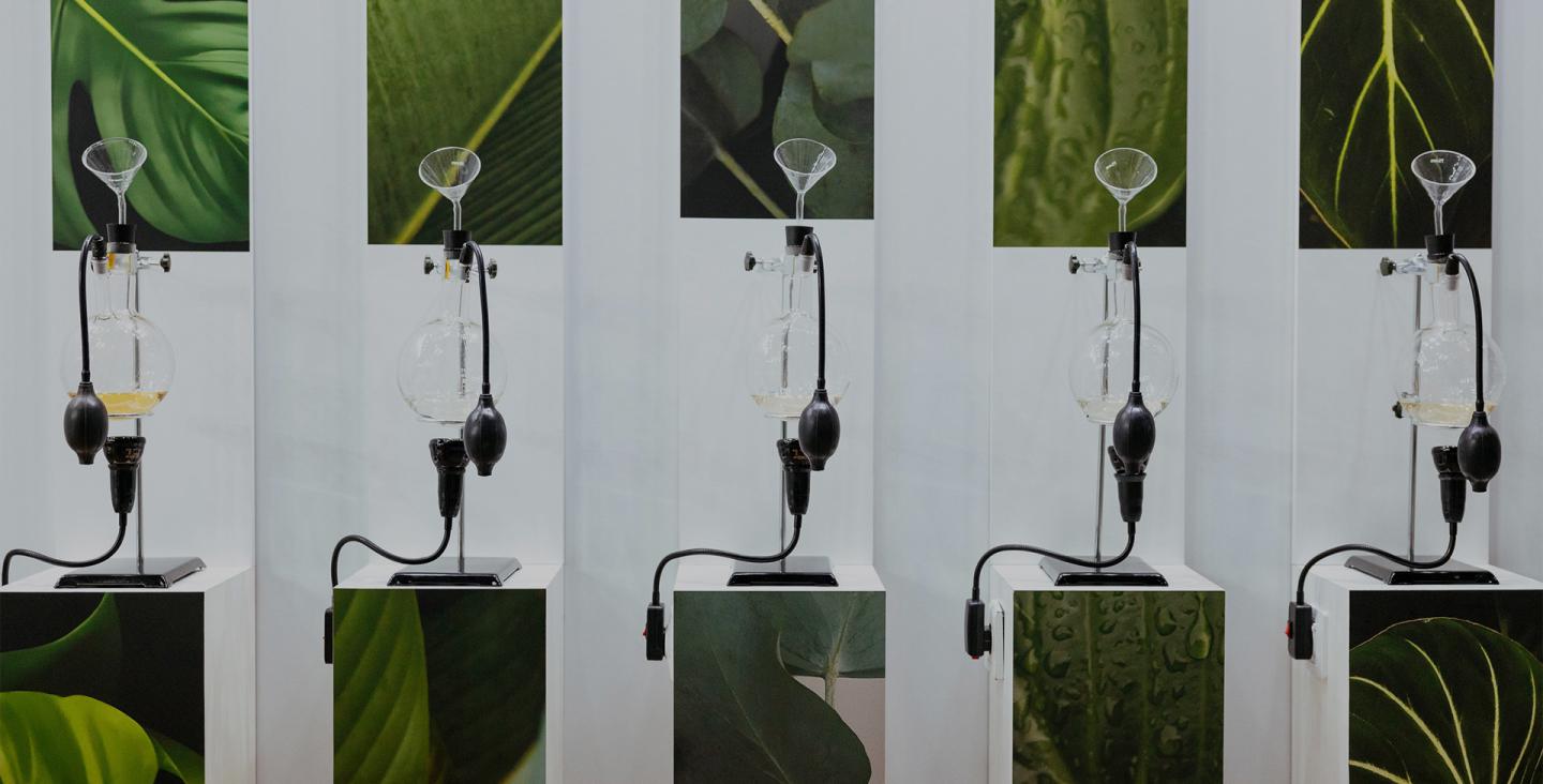 Фото: пресс-служба