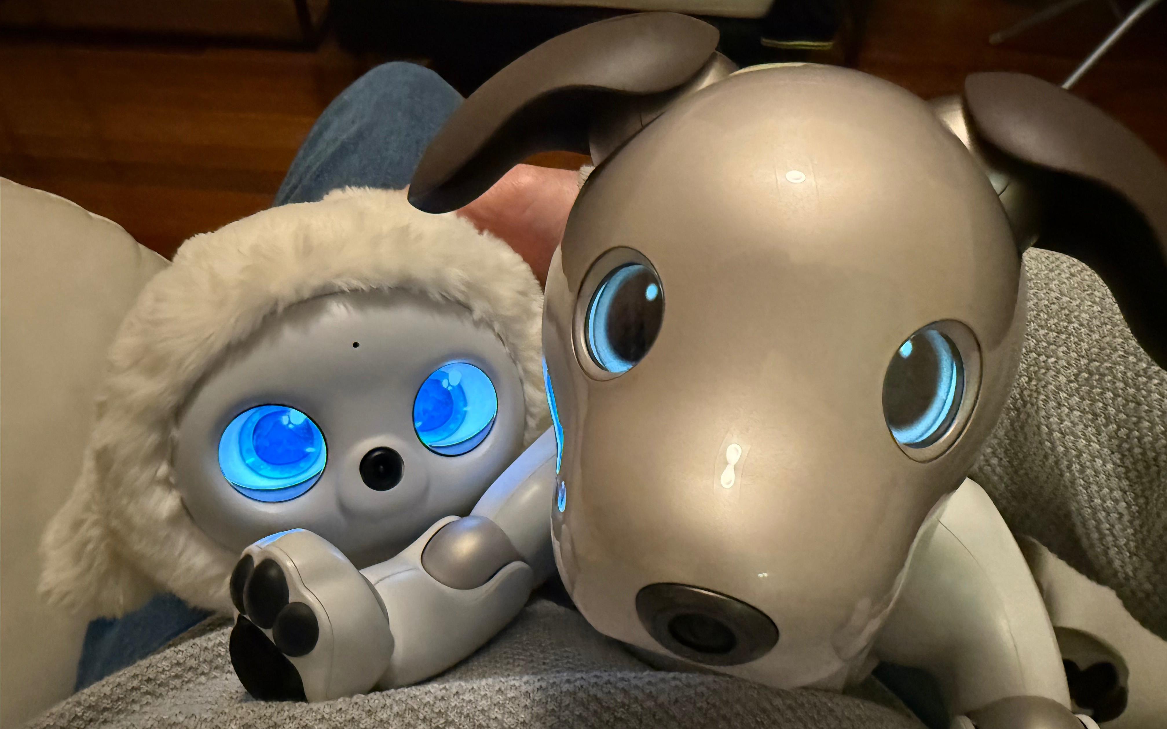 Фото: robotsaroundthehouse.com