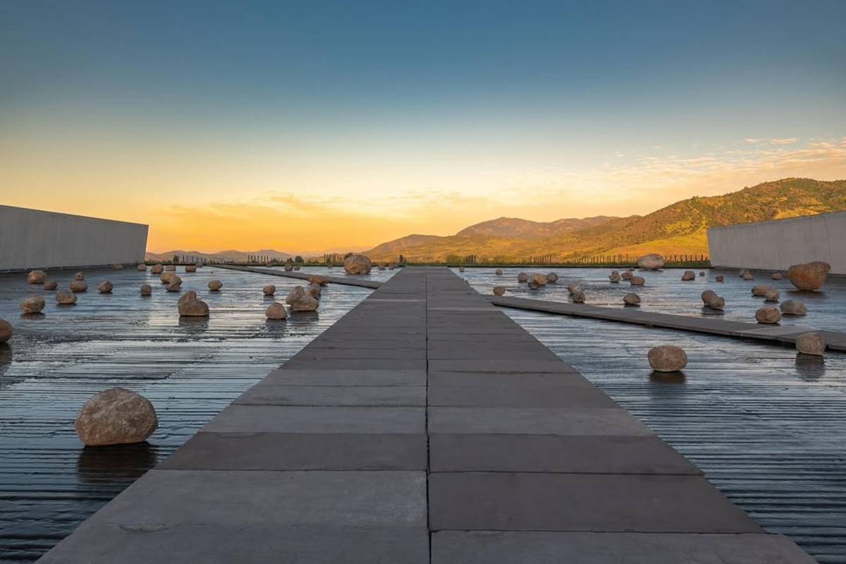 Гид 50 Best признал самым красивым виноградник в «золотом краю» в Чили