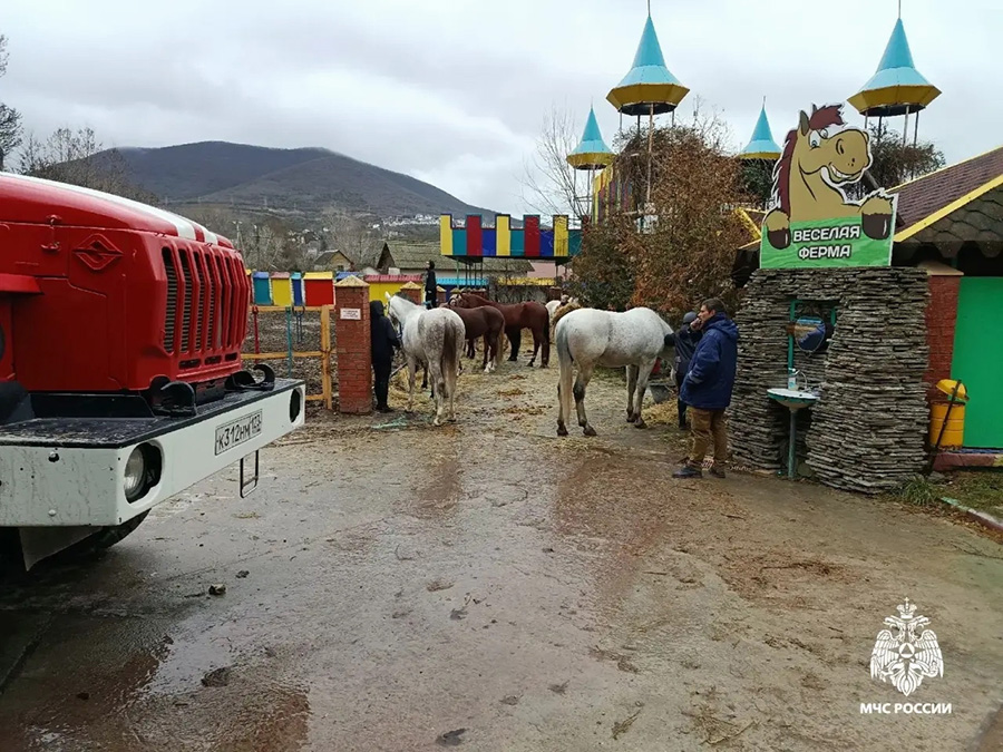 Фото: МЧС России по Краснодарскому краю