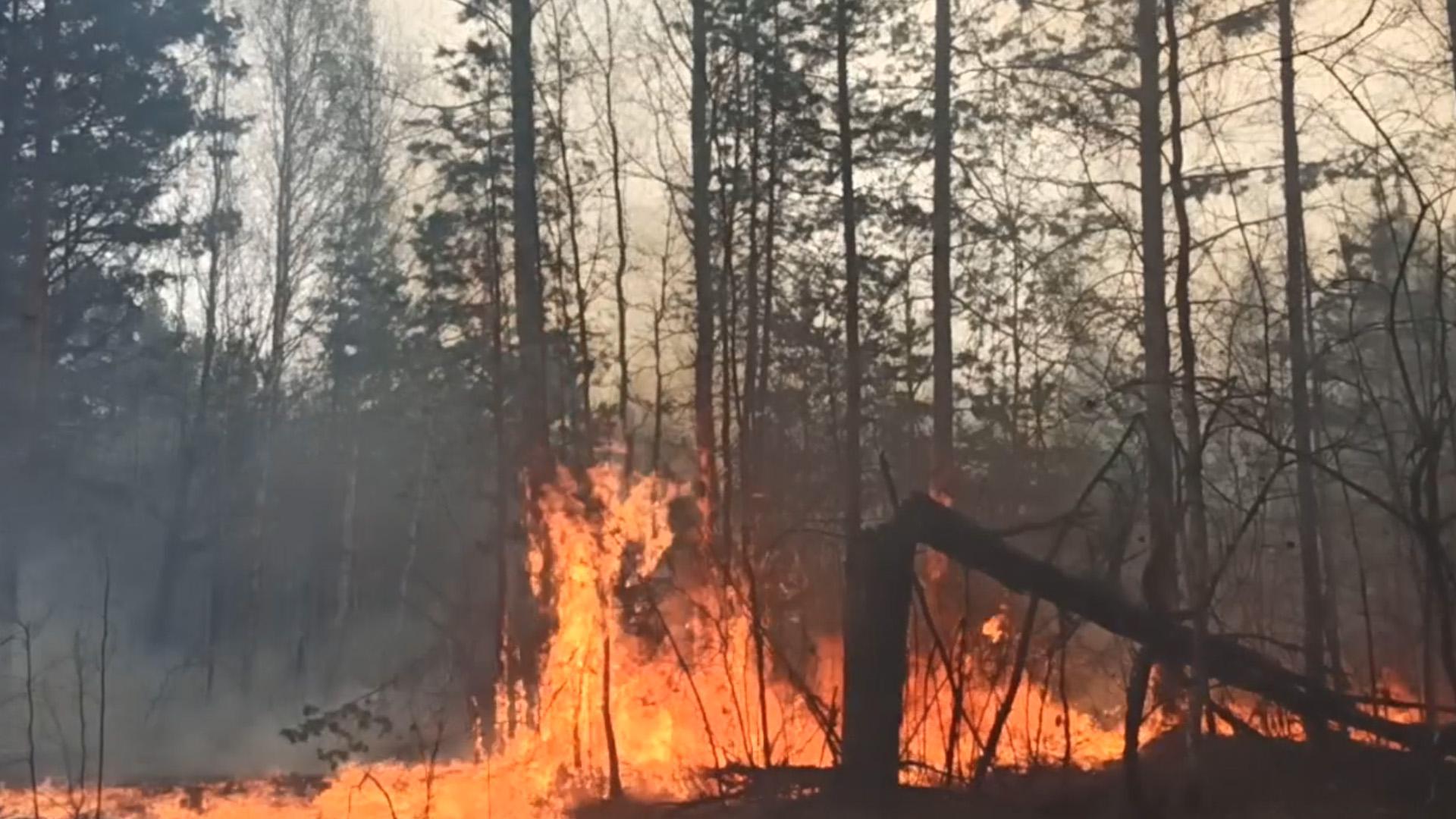 В поселке Свердловской области сгорели два склада из-за лесного пожара