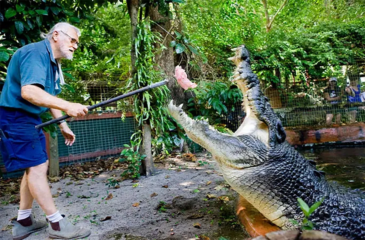 <p>На фото: крокодила Кассиуса кормит Джордж Джей Крейг</p>