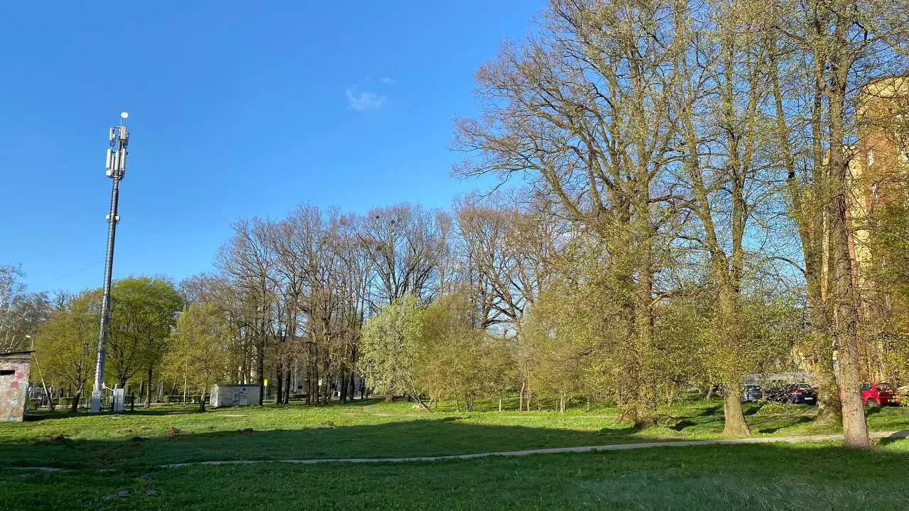 Надежда Будрина