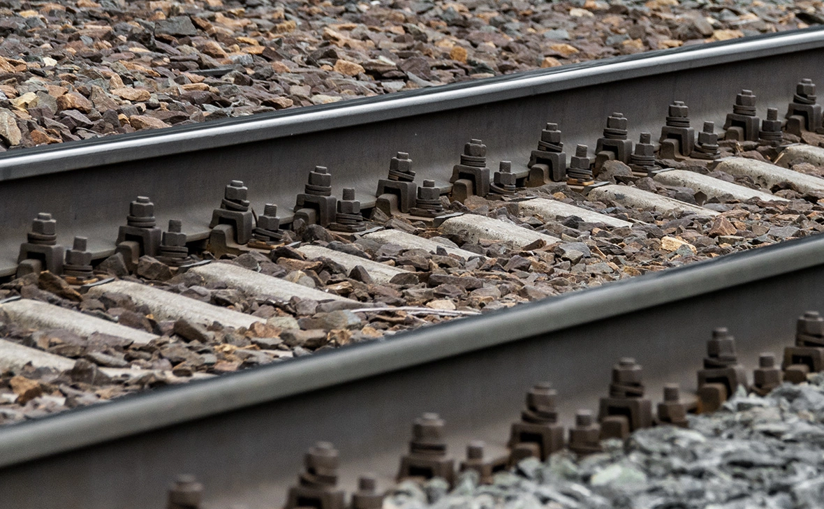 Светлана Возмилова / Global Look Press