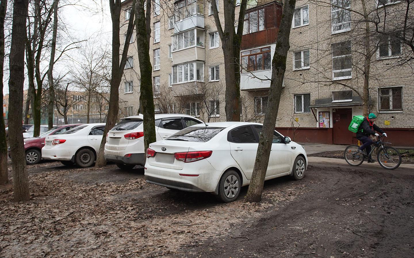 Фото: Елена Никитченко / ТАСС