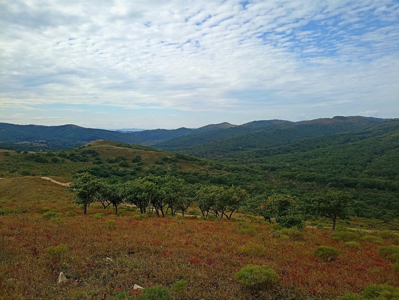 Фото: РБК Приморье