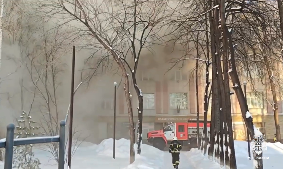 Фото: Скрин видео ГУ МЧС по НСО