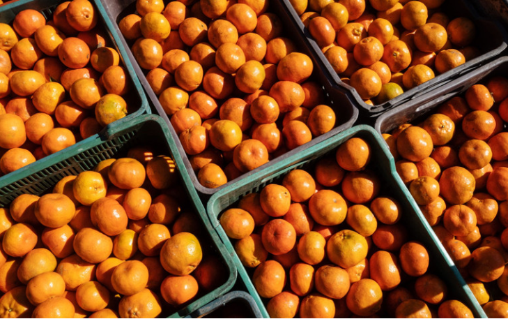 Фото: Mauricio Palos / Bloomberg