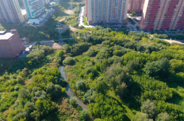 green.novo-sibirsk.ru