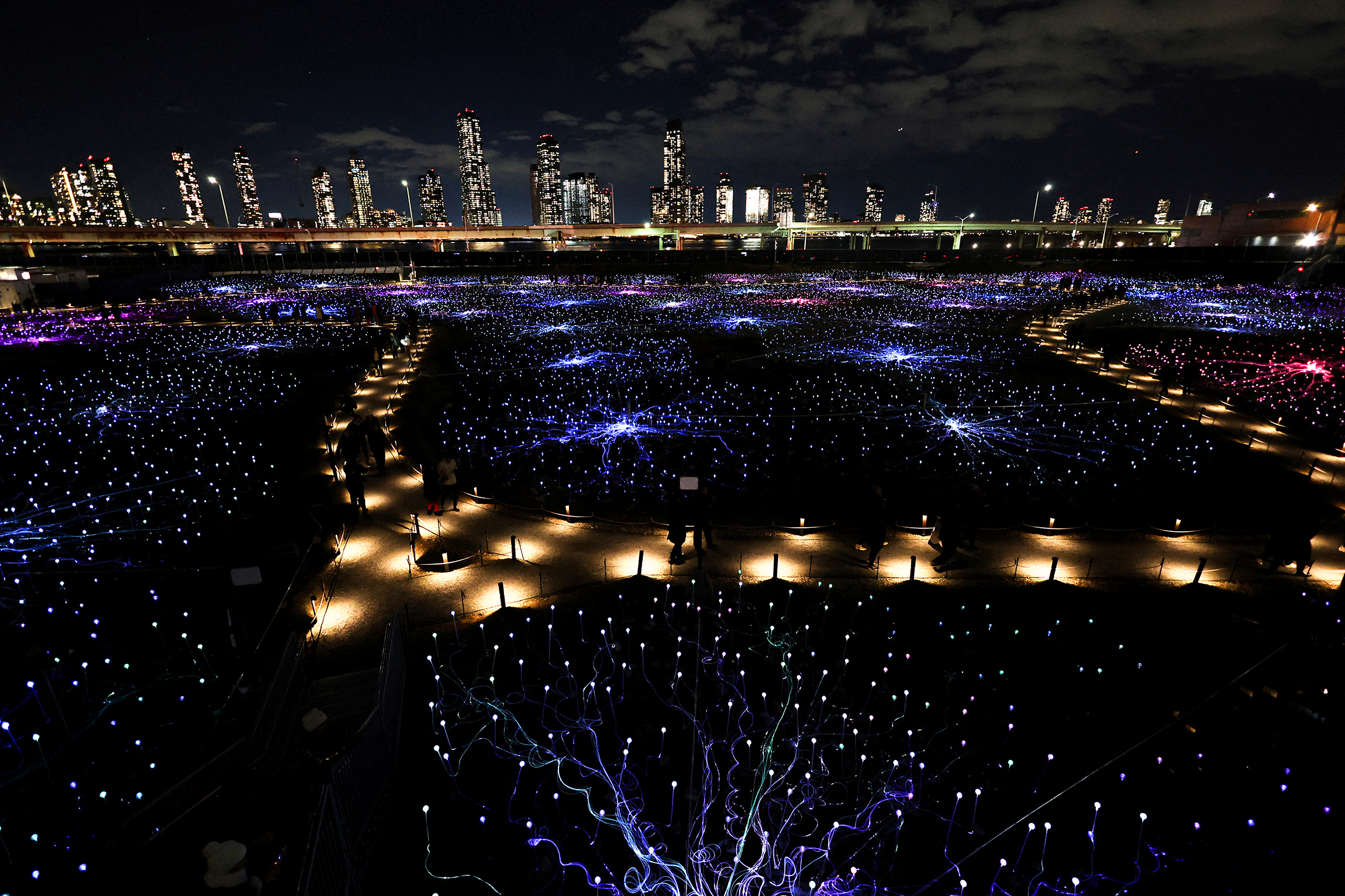 Инсталляция британо-австралийского художника Брюса Манро &laquo;Поле света&raquo; из более чем 17 тыс. светильников на солнечных батареях недалеко от штаб-квартиры ООН в Нью-Йорке
