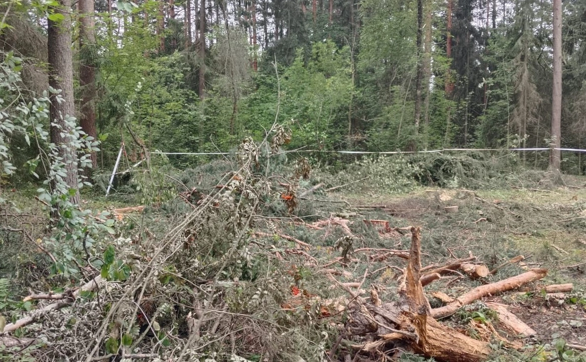 администрация Петрозаводского городского округа 