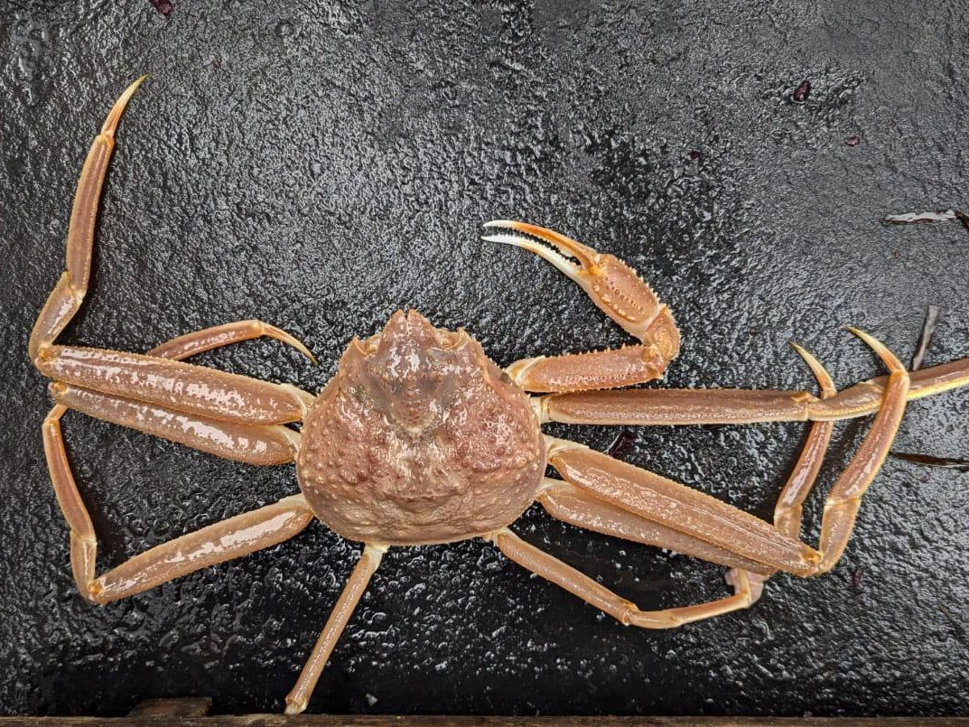 РБК Приморье