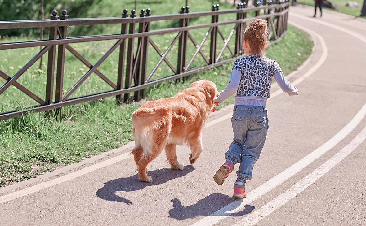 SmartPhotoLab / Shutterstock