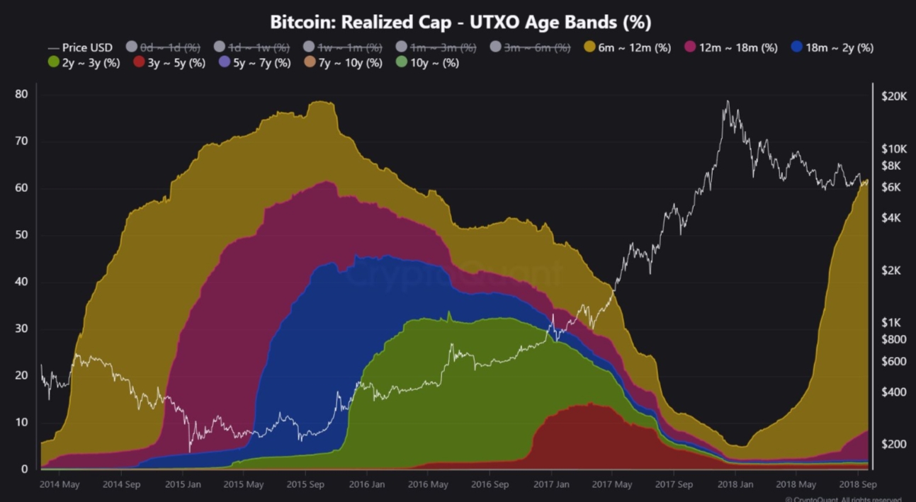 Бычий цикл биткоина 2017 года. Источник: CryptoQuant
