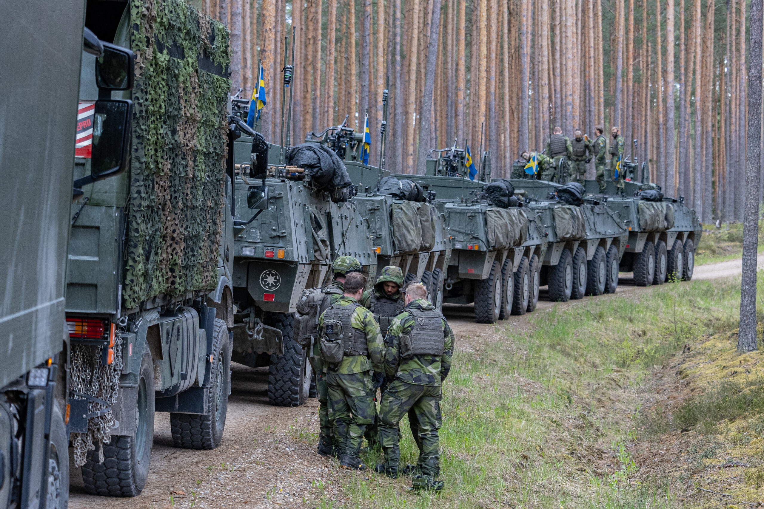 Фото: Министерство обороны Эстонии