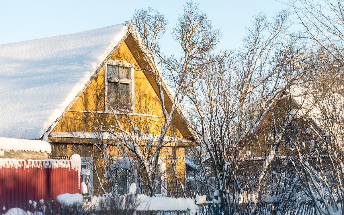 Фото: Anna Nikonorova / Shutterstock / FOTODOM