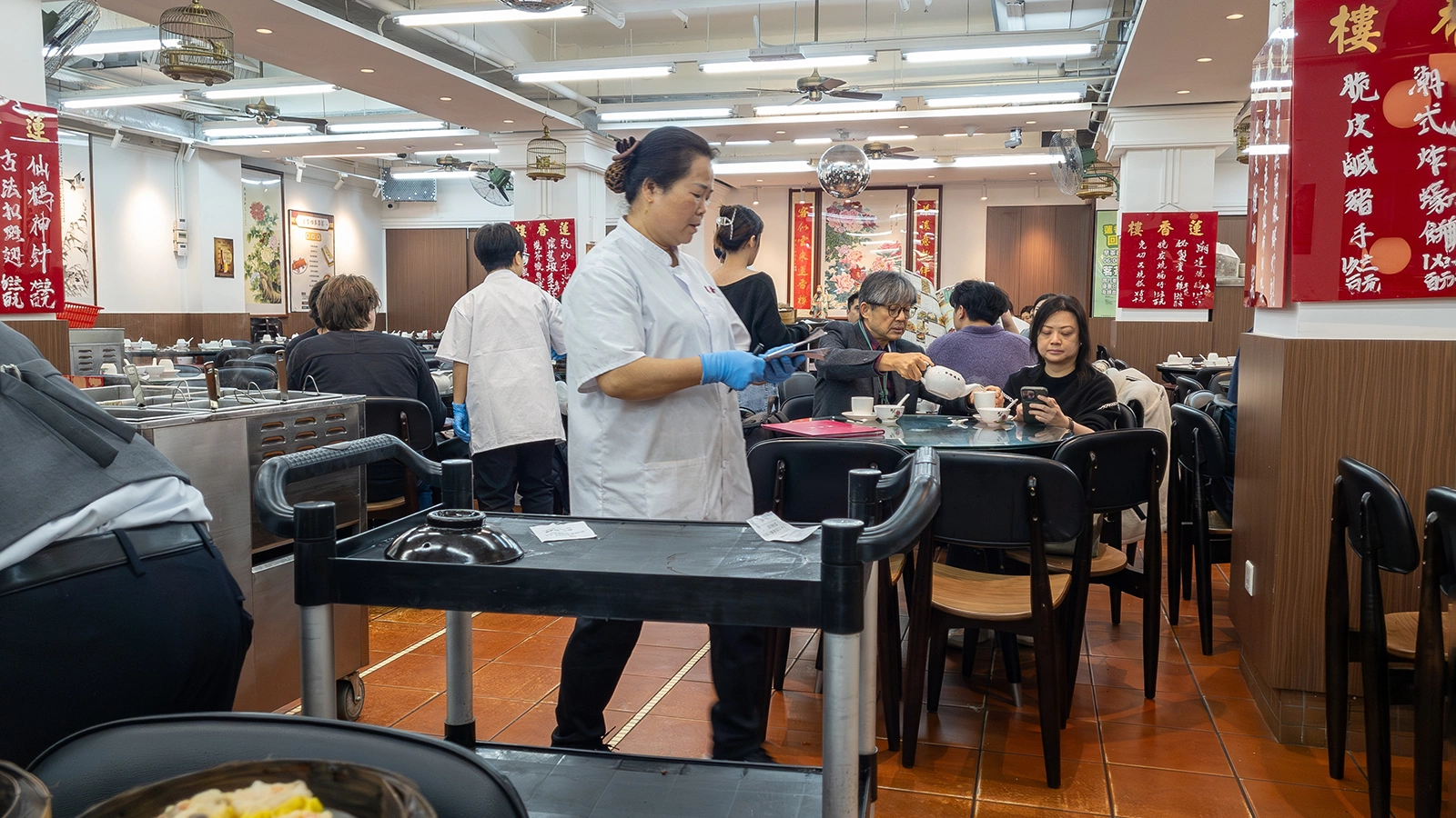 В Мадриде закрыли ресторан, где подавали уличных голубей вместо утки