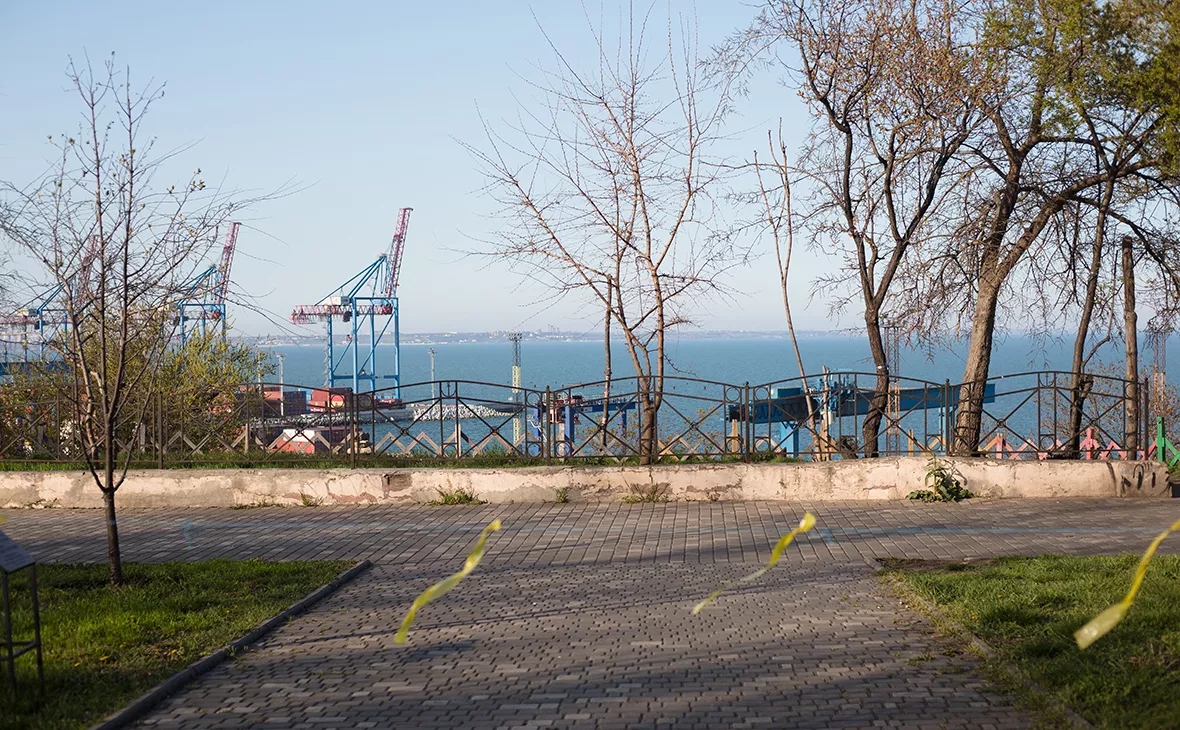 Анастасия Власова / Getty Images