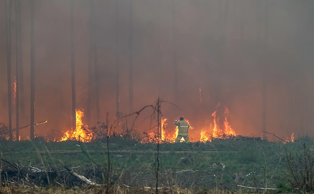 Донат Сорокин / ТАСС