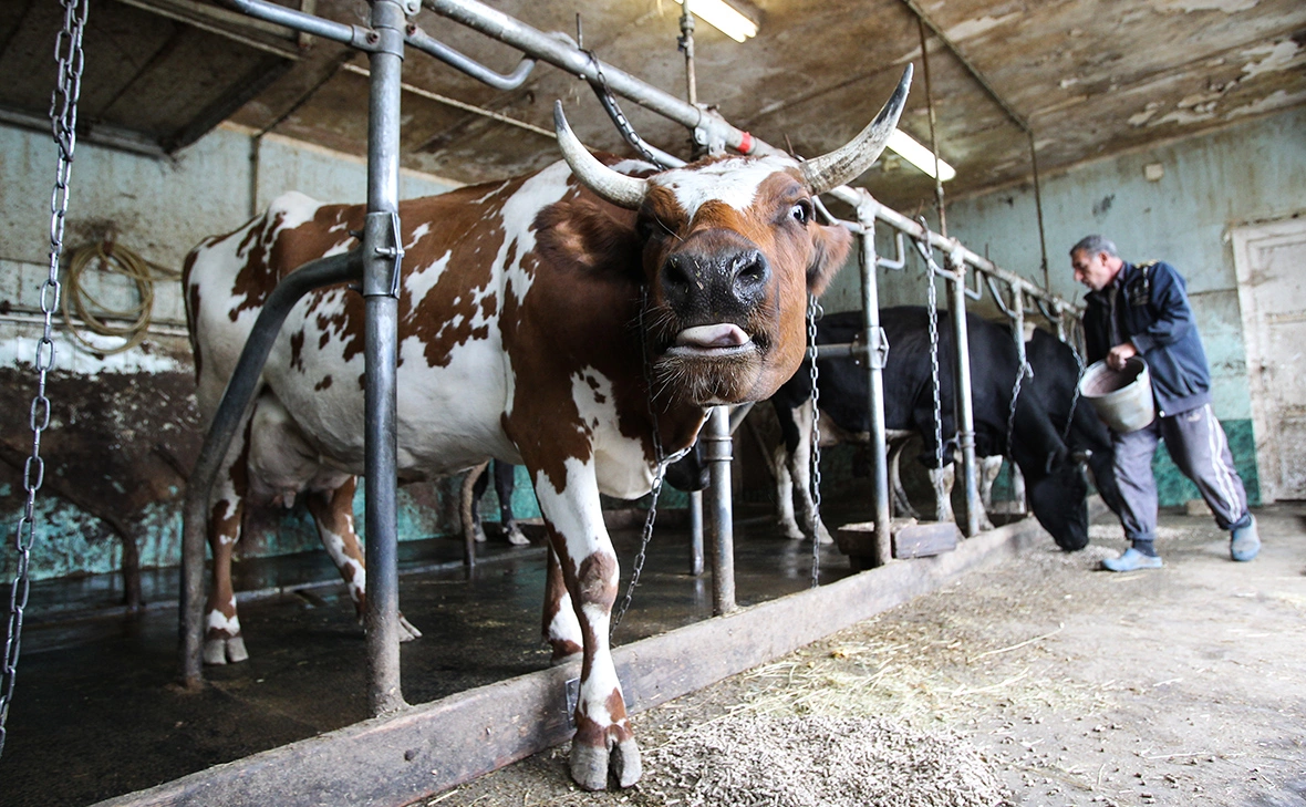 Екатерина Кузьмина / РБК