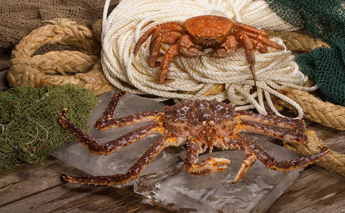 Росрыболовство / t.me