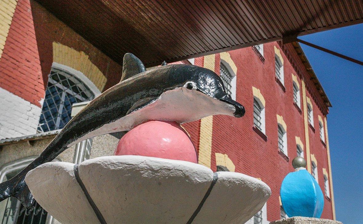 Марина Круглякова / ТАСС