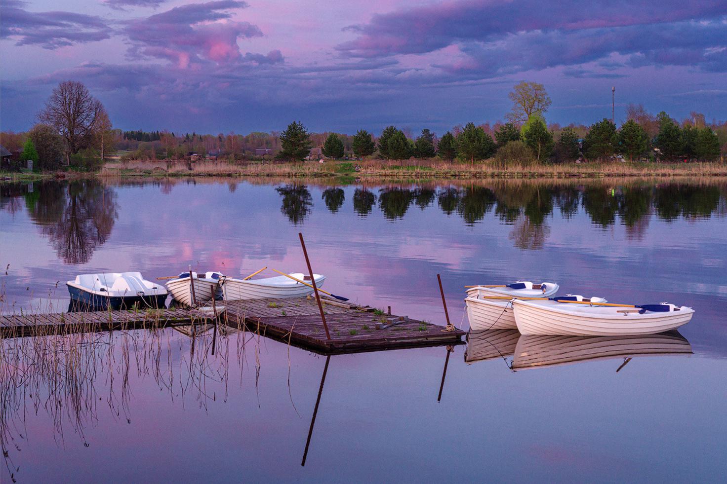 «Носороги»