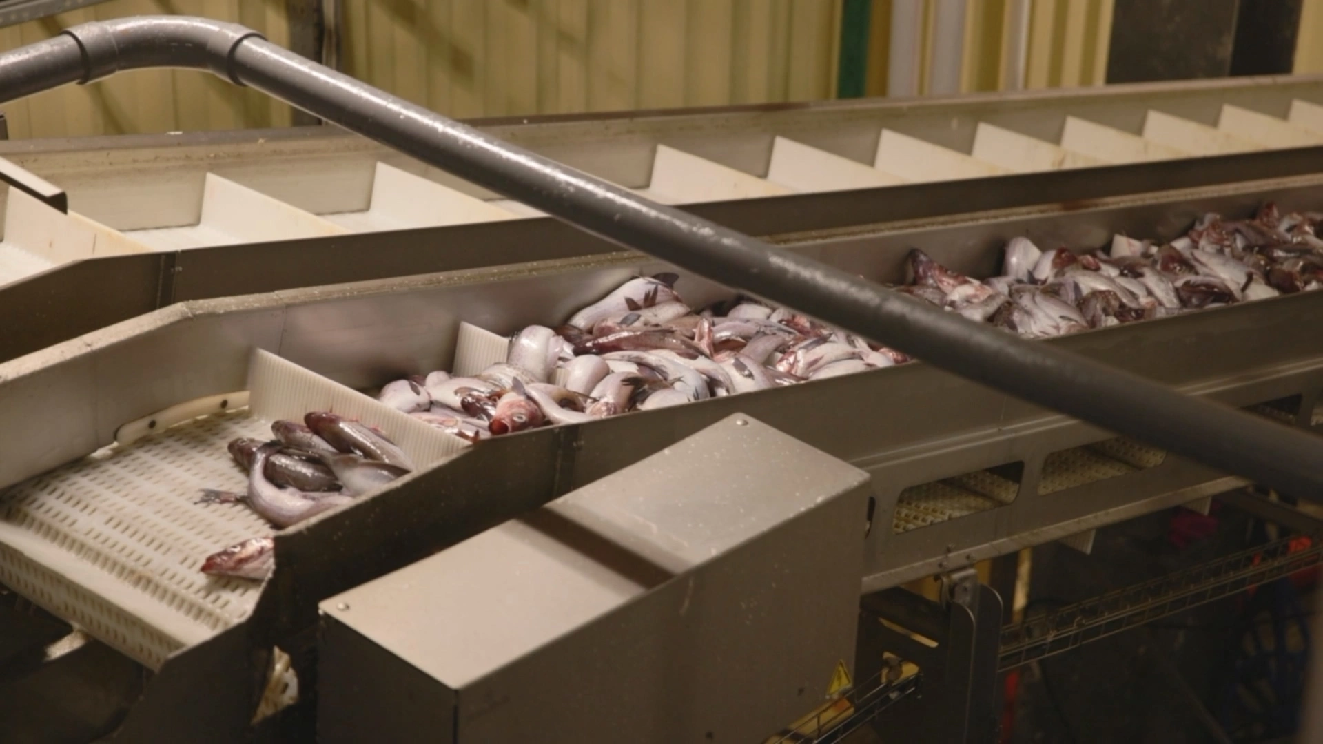 Правительство Камчатского края