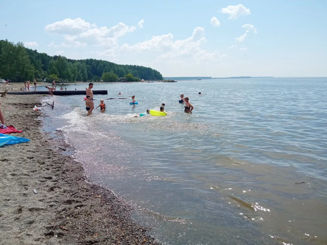 РБК Новосибирск