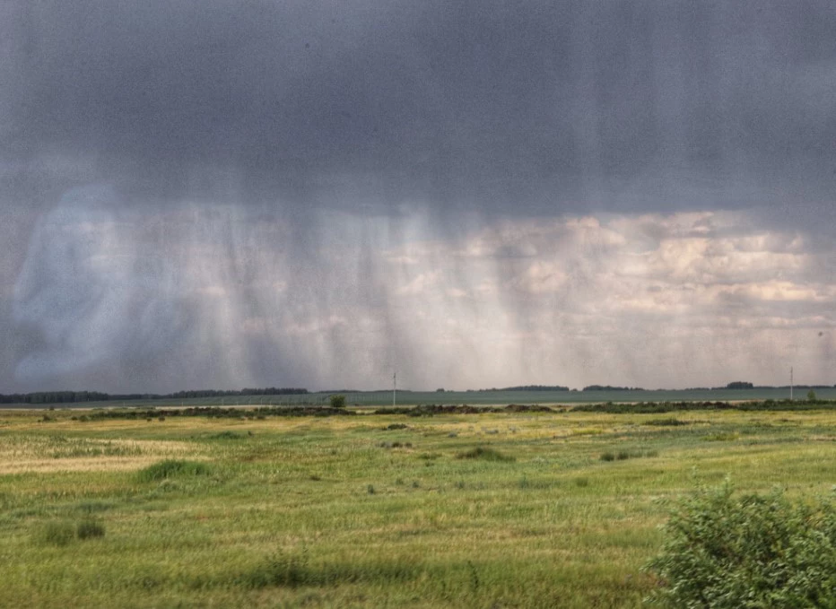 Екатерина Сычкова / URA.RU