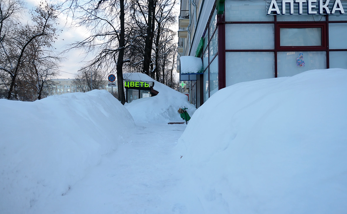 Михаил Гребенщиков / РБК