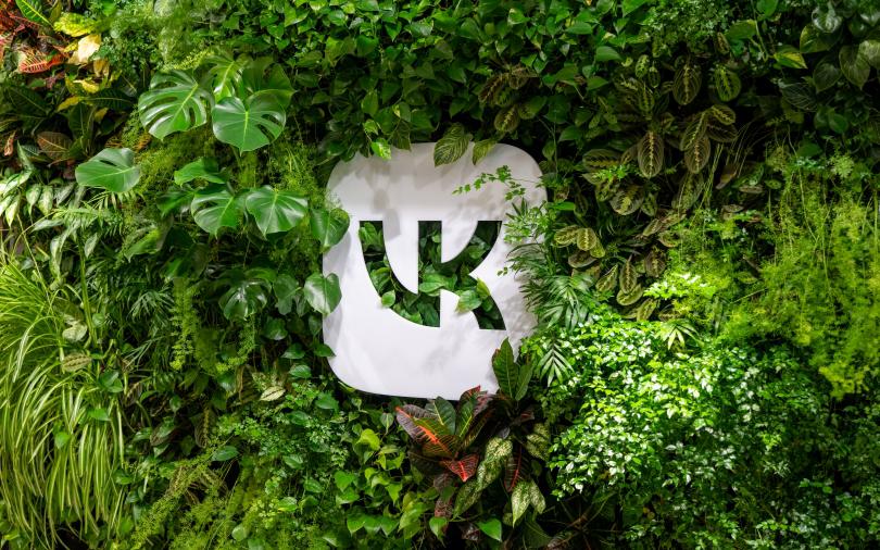 Фото: Алексей Смагин / ТАСС