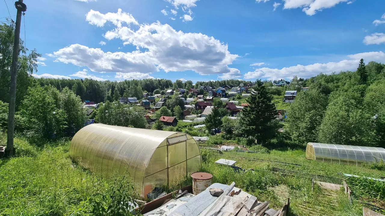 РБК Пермь