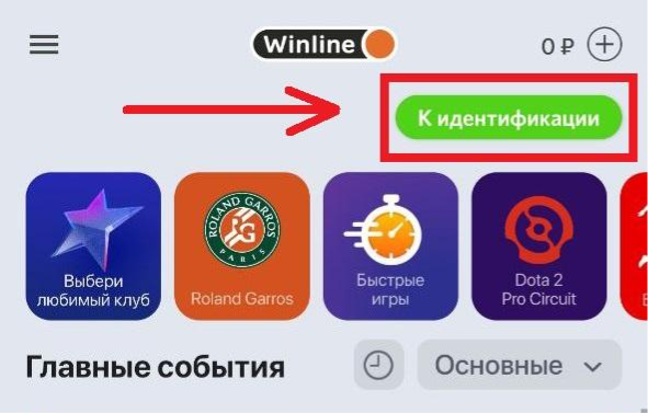 Кнопка &laquo;К идентификации&raquo; на главной странице мобильного приложения