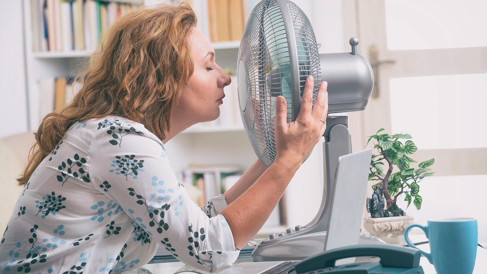 Monika Wisniewska / Shutterstock / FOTODOM