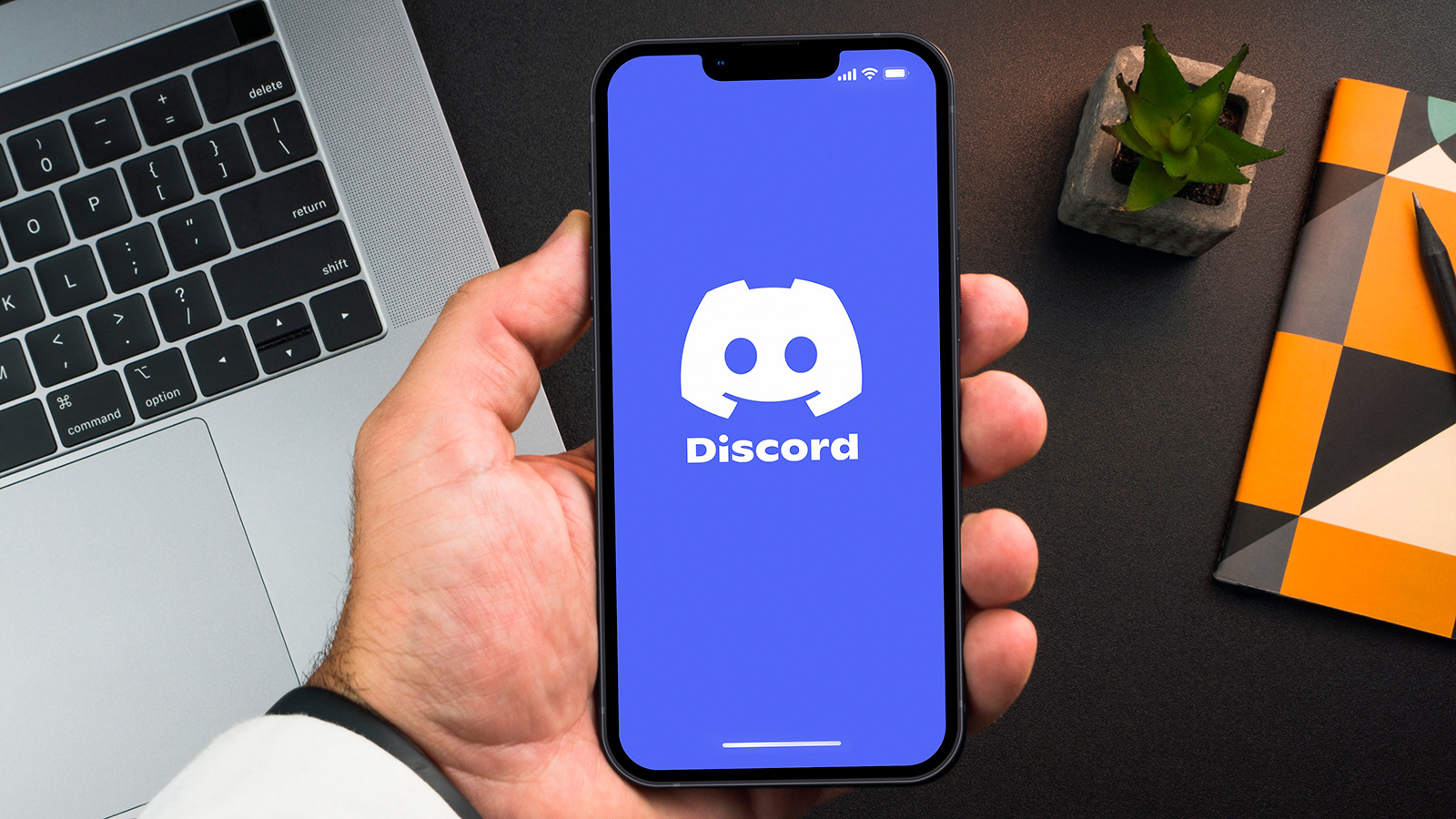 <p>Приложение Discord</p>