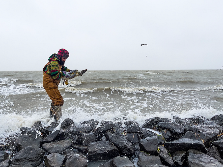 Фото: Sandesh Kadur, India