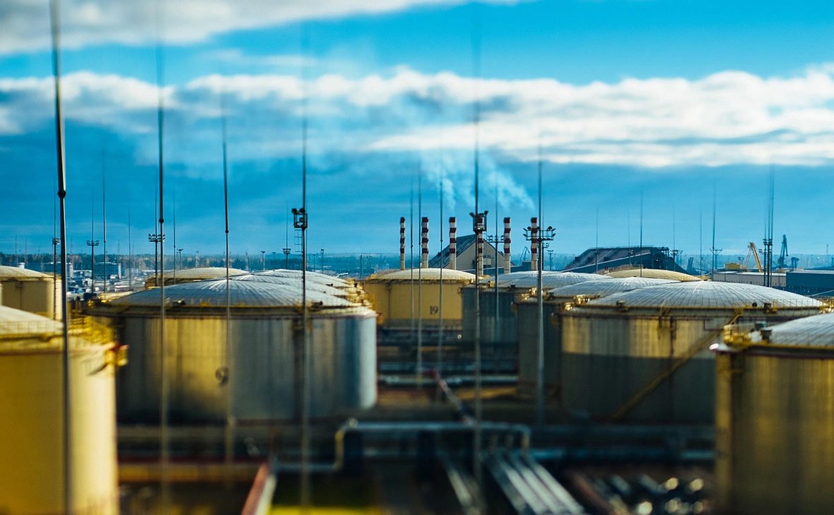 Мария Ионова-Грибина для РБК