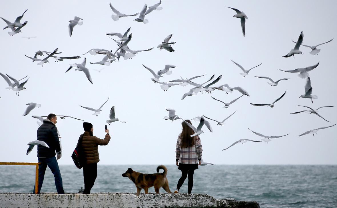 Фото: Дмитрий Феоктистов / ТАСС