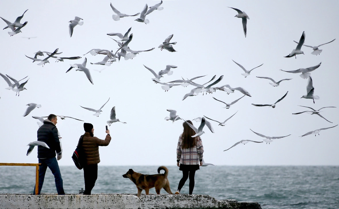 Дмитрий Феоктистов / ТАСС