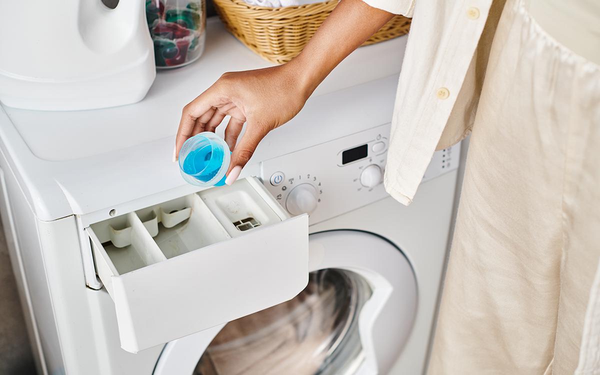 Фото: Shutterstock