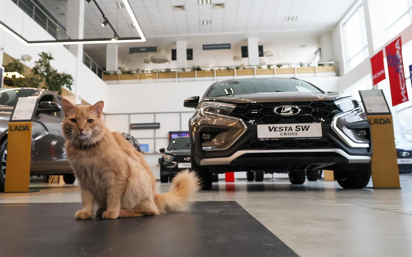 Российский авторынок вырос на 30,6%. Топ-10 популярных моделей