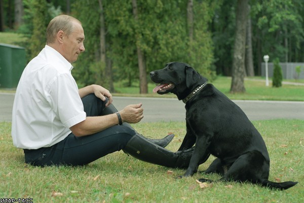 Владимир Путин и его собаки