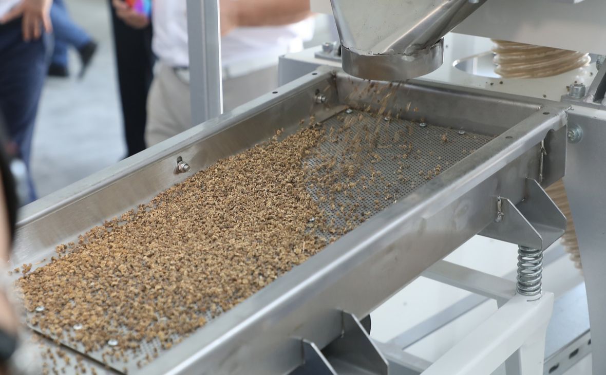 Фото: пресс-служба администрации Краснодарского края