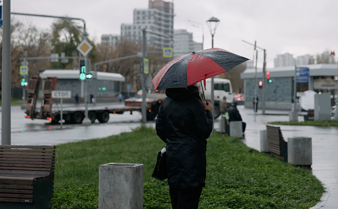 Михаил Гребенщиков / РБК