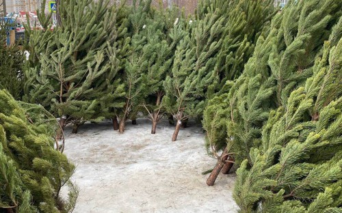 Фото: Администрация города Омска