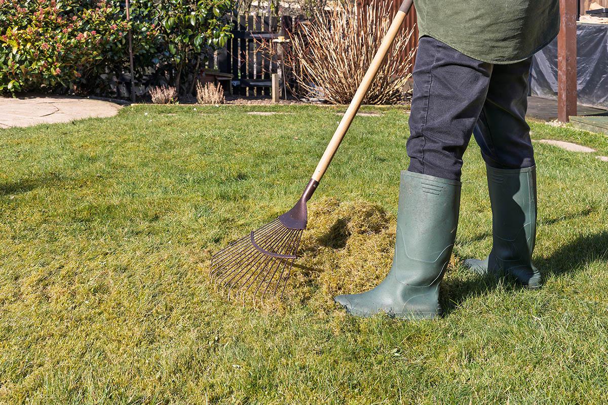 Как подготовить дачный участок к летнему сезону