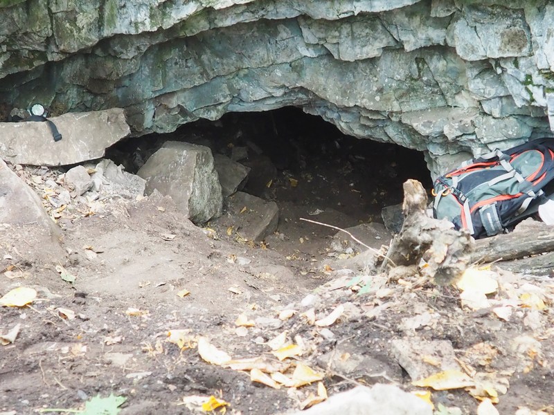 Дмитрий Гимранов:

&laquo;О пещере стало известно 5 лет назад. Местная население ее неоднократно посещало, и было известно, что там много костей. Нам выслали фотографии, и мы заинтересовались, но ни на что особенно не рассчитывали, т.к. воды поблизости нет, и сама пещера была похожа скорее на барсучью нору. Но, оказалось, что примерно в 70 метрах от входа есть небольшой зал, полный находок&raquo;.

