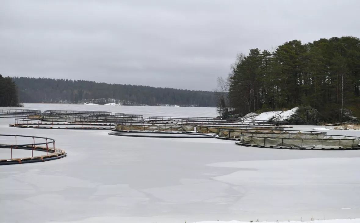 gov.karelia.ru